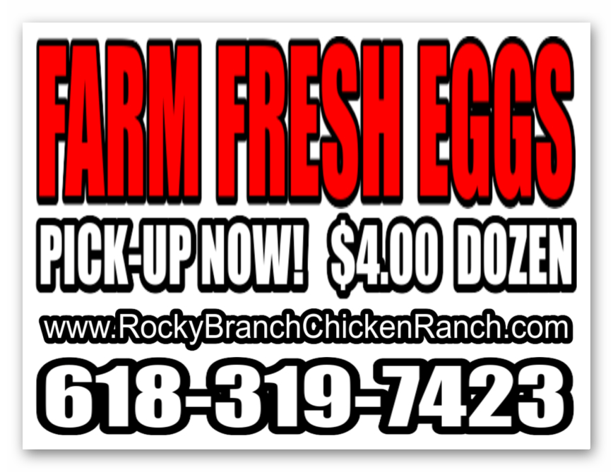 RBCR - Fresh Farm Eggs